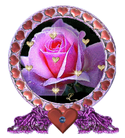 la rose